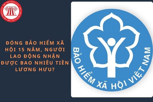Pháp luật