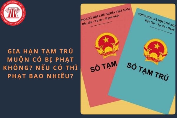 Pháp luật