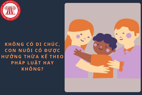Pháp luật