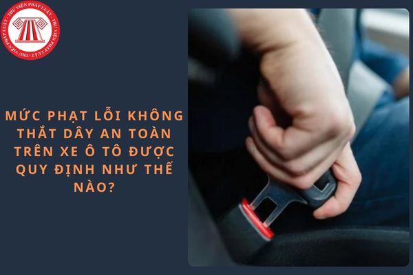 Pháp luật