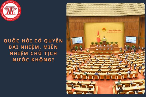 Pháp luật
