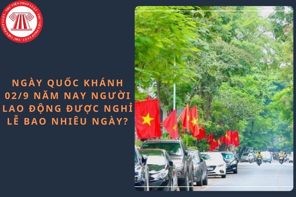 Pháp luật