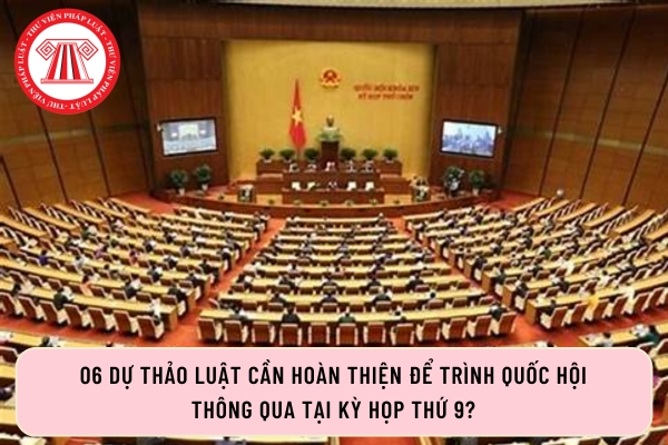 Pháp luật