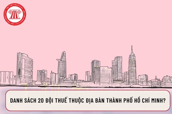 Danh sách 20 Đội thuế thuộc địa bàn Thành Phố Hồ Chí Minh?