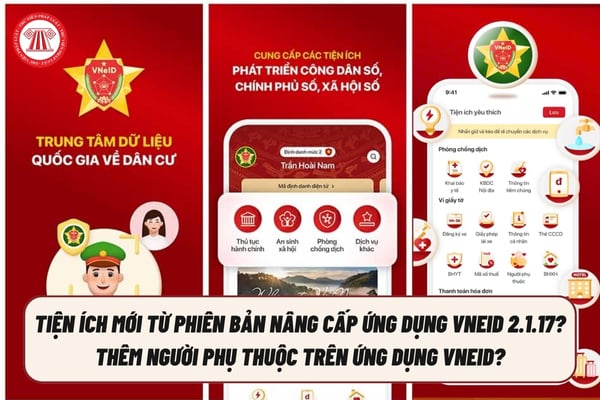 Pháp luật