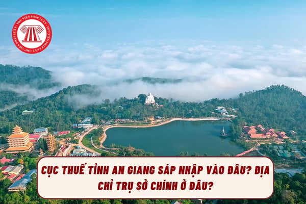 Pháp luật