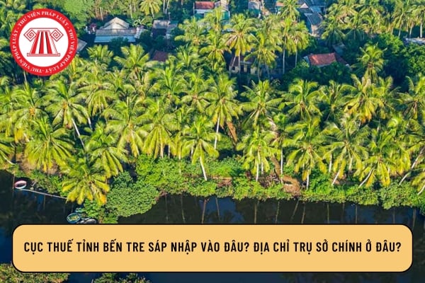 Pháp luật
