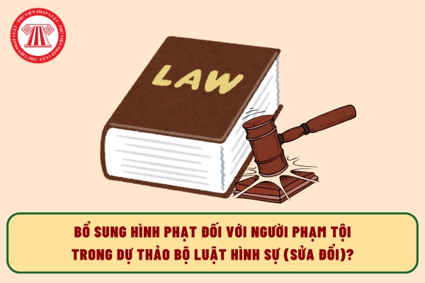 Pháp luật