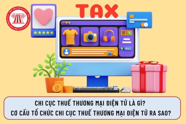 Chi Cục Thuế thương mại điện tử là gì?  Cơ cấu tổ chức Chi Cục Thuế thương mại điện tử ra sao?