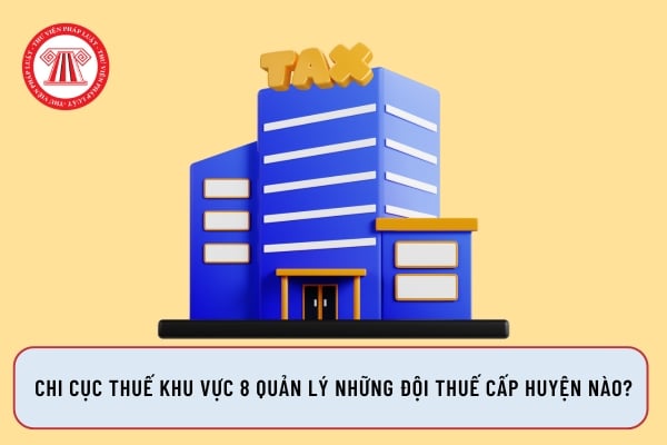 Chi cục Thuế khu vực 8 quản lý những Đội thuế cấp huyện nào?