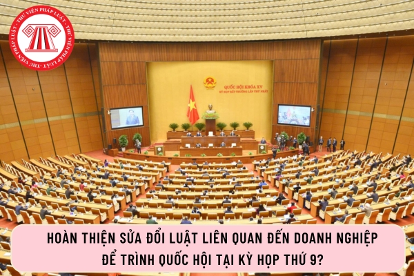 Pháp luật