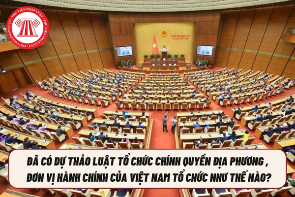 Pháp luật