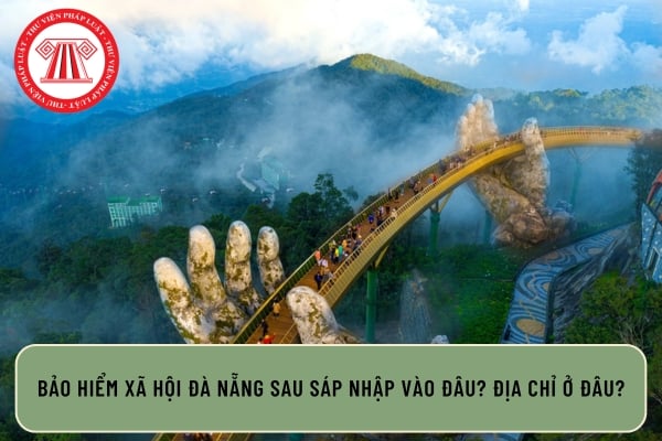 Pháp luật