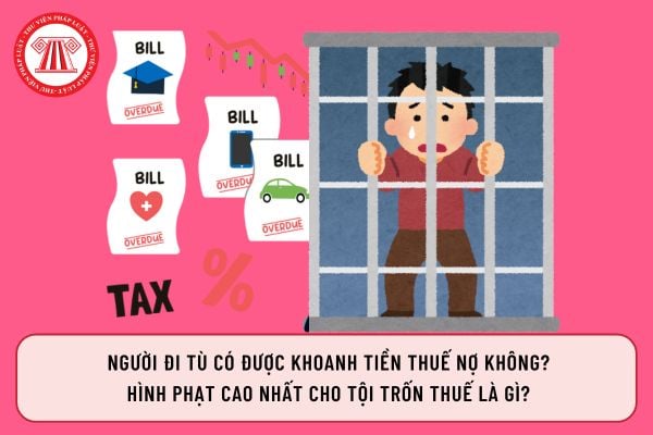 Pháp luật