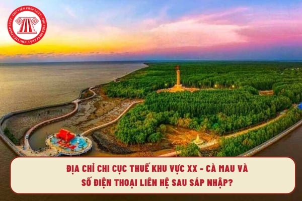 Pháp luật