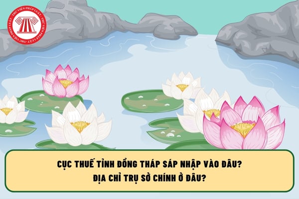 Pháp luật