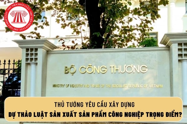 Pháp luật