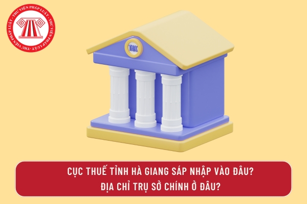 Pháp luật