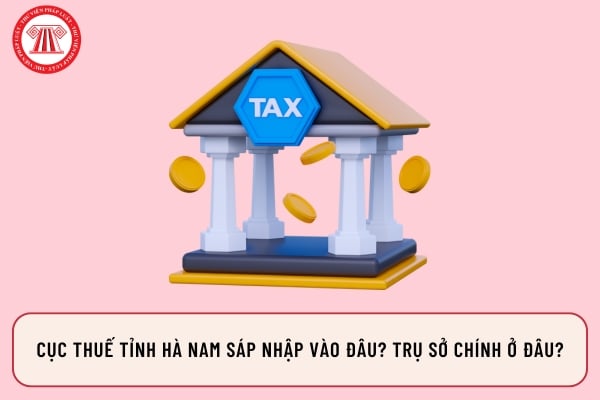 Pháp luật