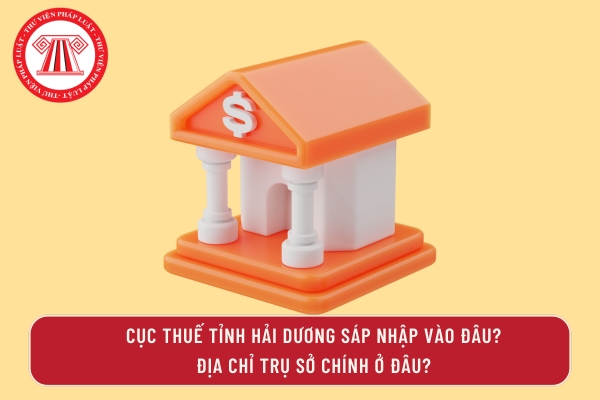 Pháp luật