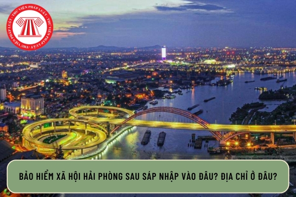 Pháp luật