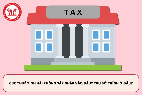 Pháp luật