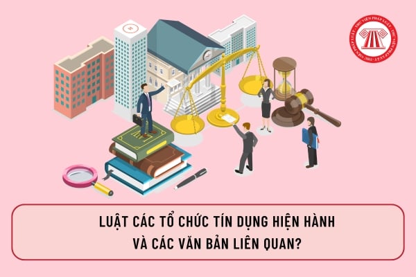 Pháp luật