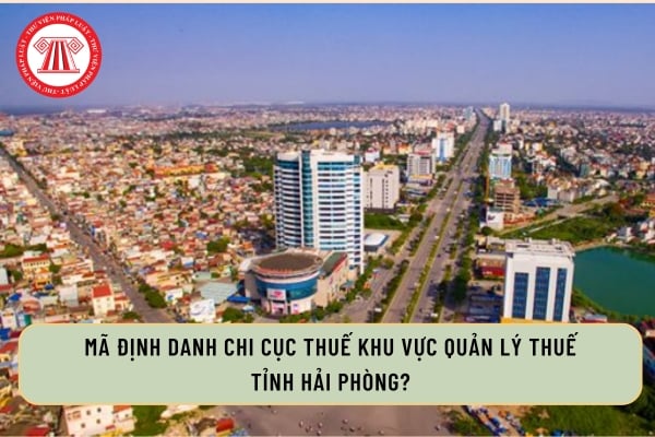 Pháp luật