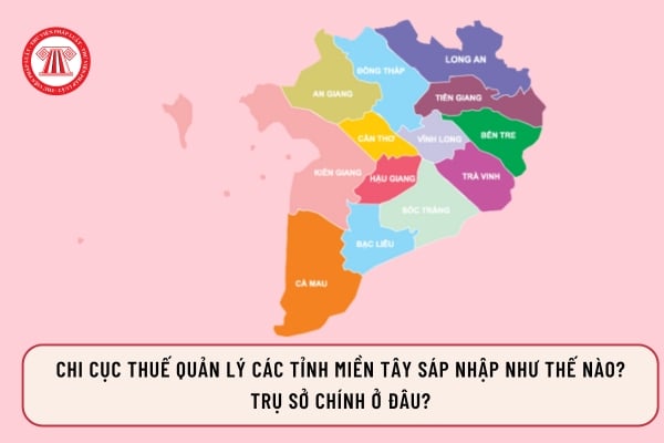 Pháp luật