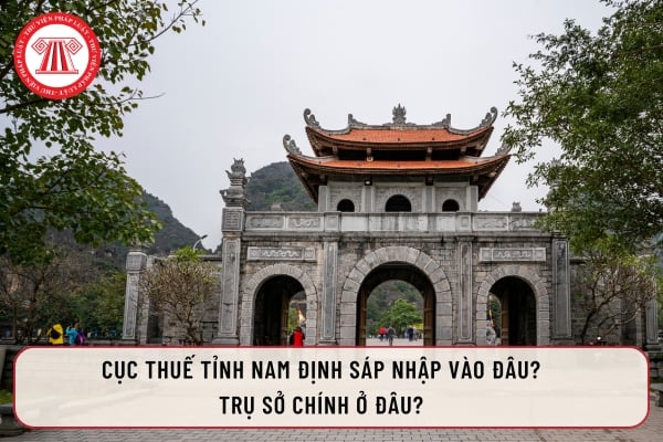 Pháp luật
