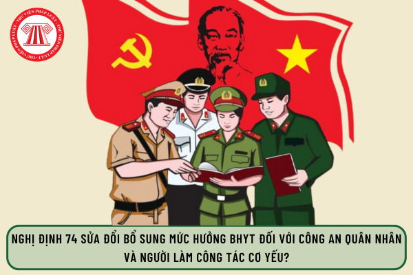 Pháp luật