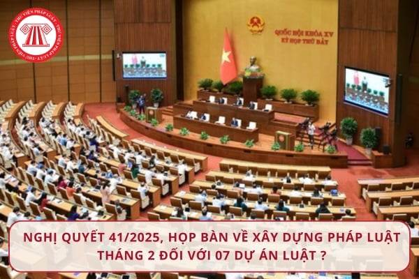 Pháp luật
