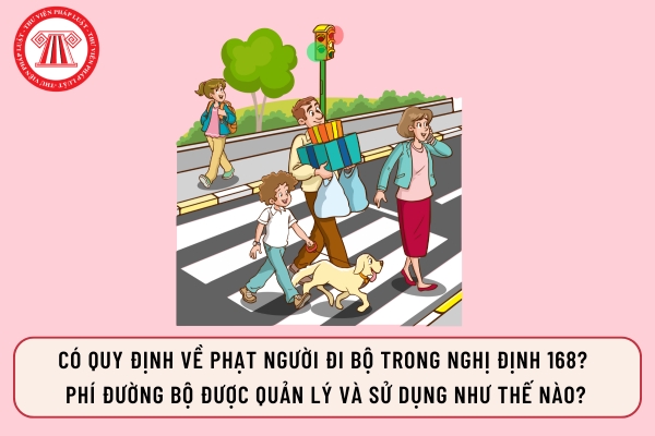Pháp luật