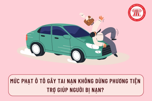 Pháp luật