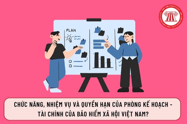 Chức năng, nhiệm vụ và quyền hạn của Phòng Kế hoạch - Tài chính của Bảo hiểm xã hội Việt Nam?