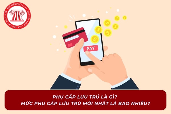 Pháp luật