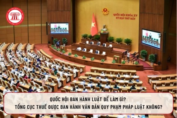 Pháp luật