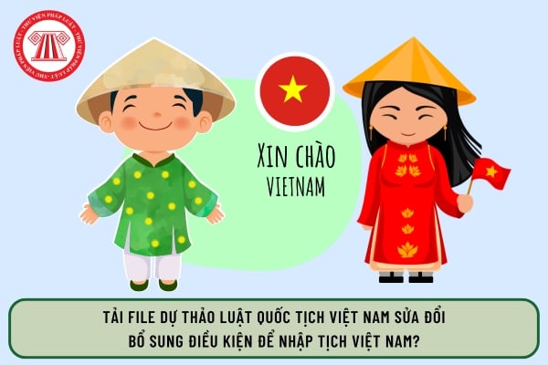 Pháp luật