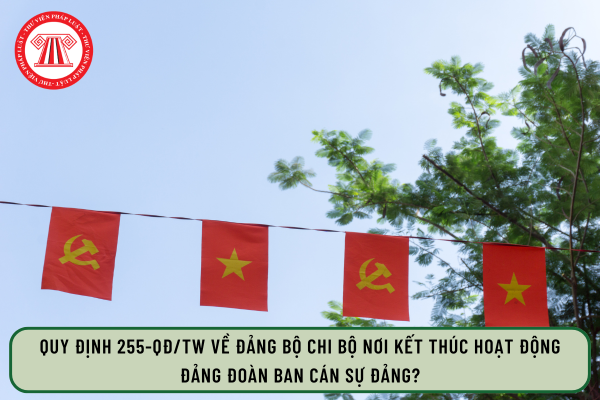 Pháp luật