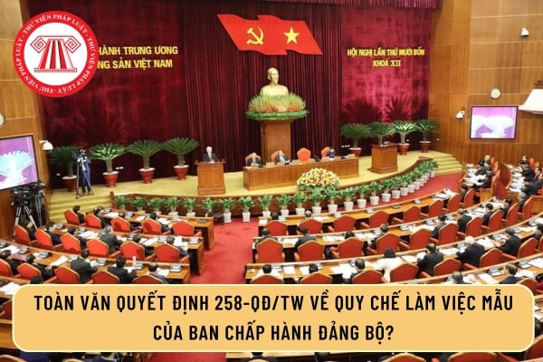 Pháp luật