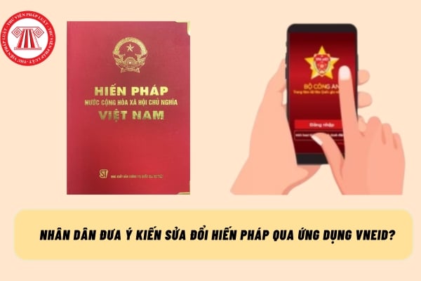 Pháp luật