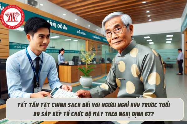 Pháp luật
