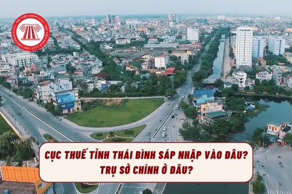 Pháp luật