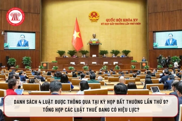 Pháp luật