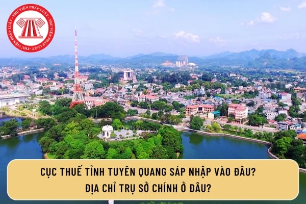 Pháp luật