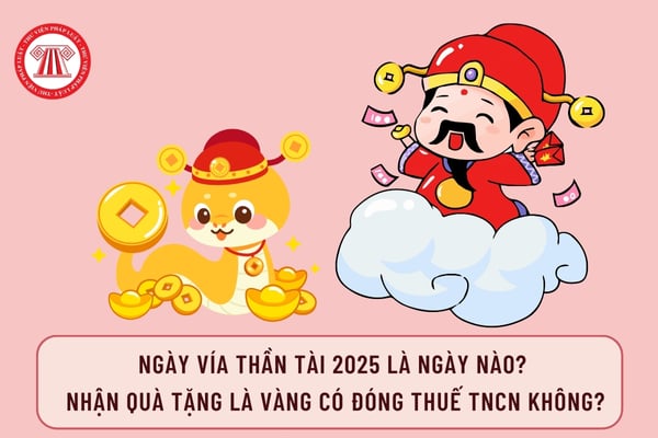 Pháp luật