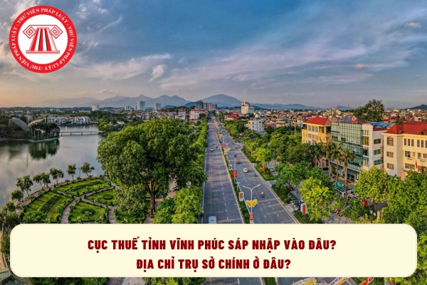 Pháp luật