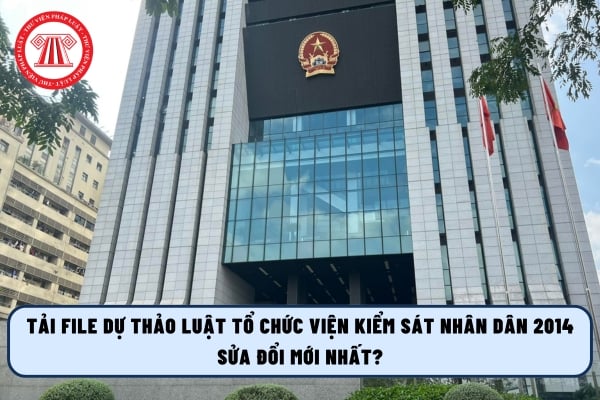 Pháp luật