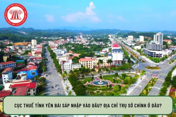 Pháp luật