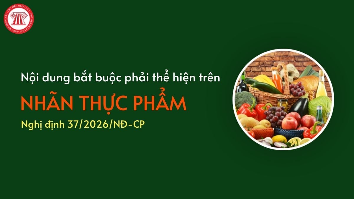Pháp luật